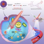 1660147704-2c635790e0e1b26e21951599fc416015