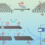 1660147704-52fc88b717216d61e39d697770fca108