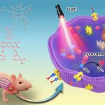 1660147705-93ee70c0d4bf188a2f3a9b497a70ddff